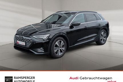Audi Q8 e-tron Gebrauchtwagen