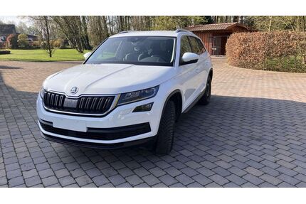 Skoda Kodiaq Gebrauchtwagen