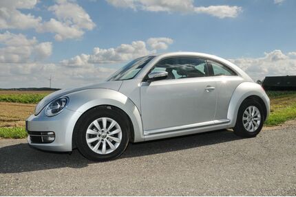 VW Beetle Gebrauchtwagen