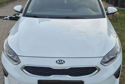 Kia ceed / Ceed Gebrauchtwagen