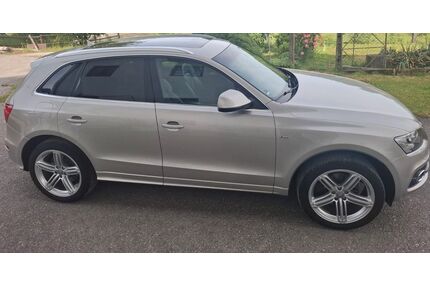 Audi Q5 Gebrauchtwagen
