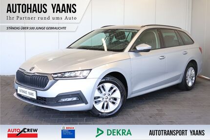 Skoda Octavia Gebrauchtwagen