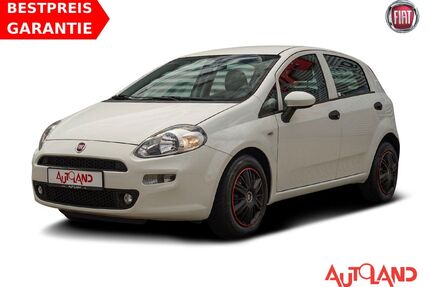 Fiat Punto Gebrauchtwagen