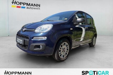 Fiat Panda Gebrauchtwagen