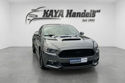 Ford Mustang Gebrauchtwagen