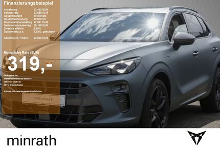 Cupra Terramar Gebrauchtwagen