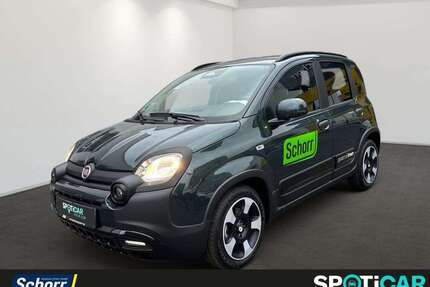 Fiat Panda Gebrauchtwagen