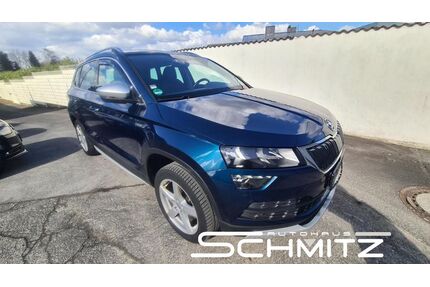 Skoda Karoq Gebrauchtwagen