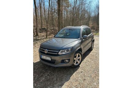 VW Tiguan Gebrauchtwagen