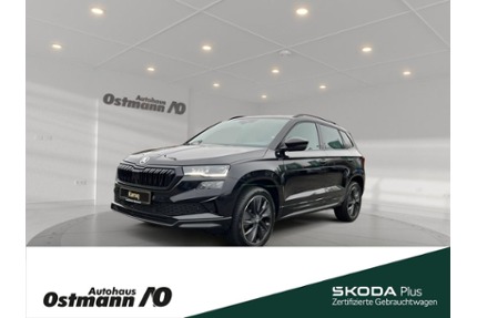 Skoda Karoq Gebrauchtwagen