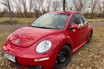 VW Beetle Gebrauchtwagen