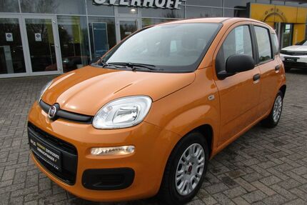 Fiat Panda Gebrauchtwagen