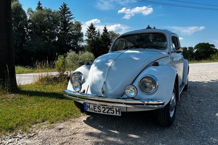 VW Käfer Gebrauchtwagen