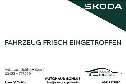 Skoda Kamiq Gebrauchtwagen