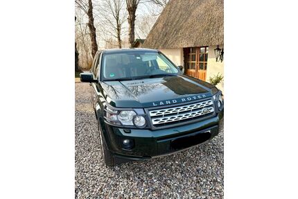 Land Rover Freelander Gebrauchtwagen