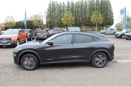 Ford Mustang Mach-E Gebrauchtwagen