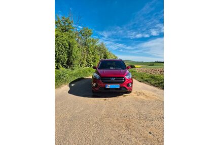 Ford Kuga Gebrauchtwagen