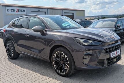 Cupra Terramar Gebrauchtwagen