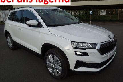 Skoda Karoq Gebrauchtwagen