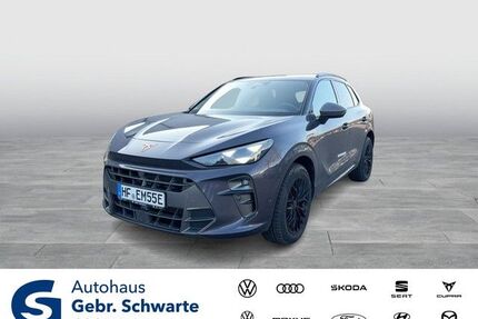 Cupra Terramar Gebrauchtwagen