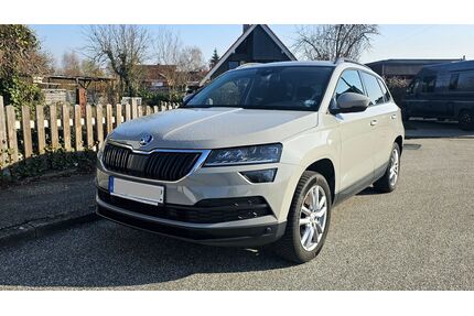 Skoda Karoq Gebrauchtwagen