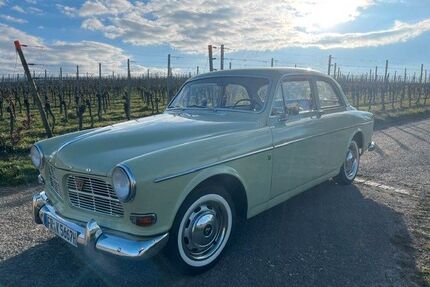 Volvo Amazon Gebrauchtwagen