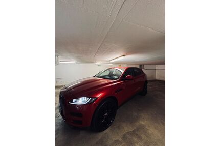 Jaguar F-Pace Gebrauchtwagen