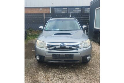 Subaru Forester Gebrauchtwagen
