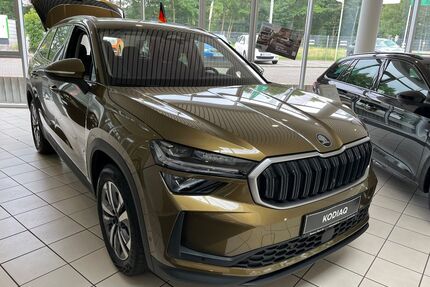 Skoda Kodiaq Gebrauchtwagen