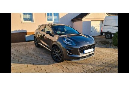 Ford Puma Gebrauchtwagen