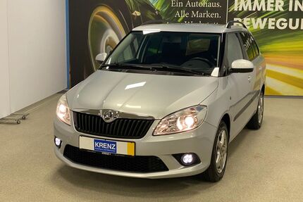 Skoda Fabia Gebrauchtwagen