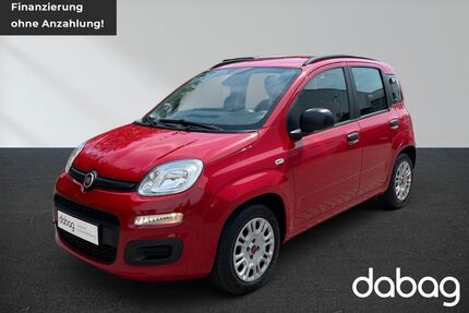Fiat Panda Gebrauchtwagen