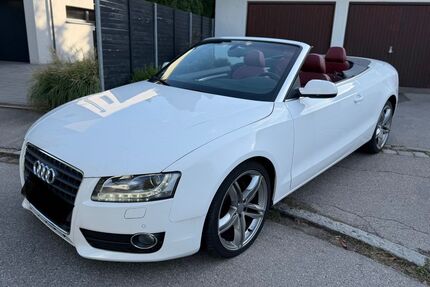 Audi A5 Gebrauchtwagen
