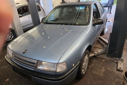 Opel Vectra Gebrauchtwagen