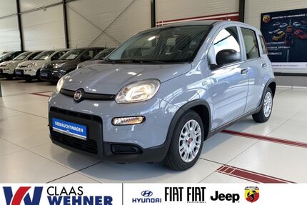 Fiat Panda Gebrauchtwagen