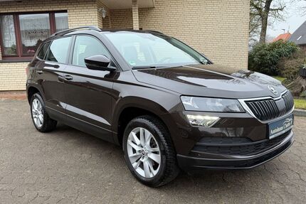 Skoda Karoq Gebrauchtwagen