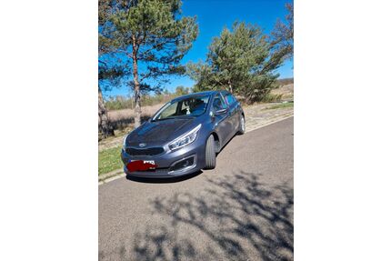 Kia ceed / Ceed Gebrauchtwagen