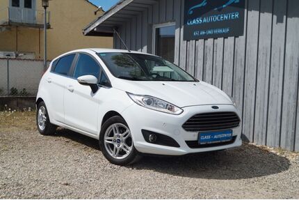 Ford Fiesta Gebrauchtwagen