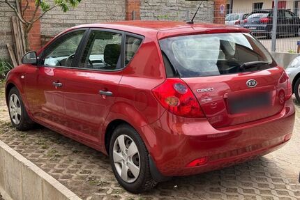 Kia ceed / Ceed Gebrauchtwagen
