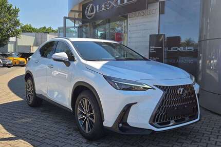 Lexus NX 450h+ Gebrauchtwagen