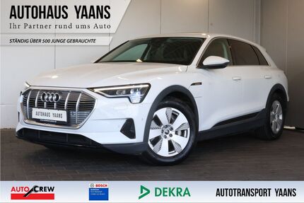 Audi e-tron Gebrauchtwagen
