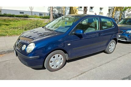 VW Polo Gebrauchtwagen