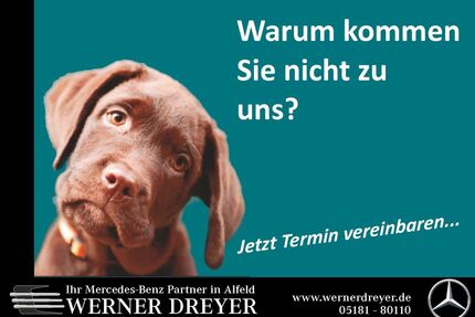 Mercedes-Benz B 200 Gebrauchtwagen