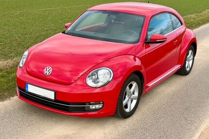 VW Beetle Gebrauchtwagen
