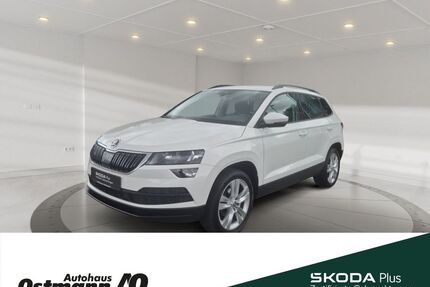 Skoda Karoq Gebrauchtwagen