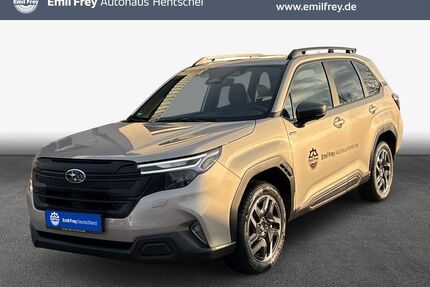 Subaru Forester Gebrauchtwagen