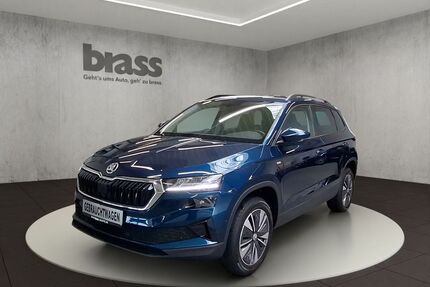 Skoda Karoq Gebrauchtwagen