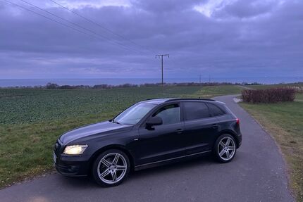 Audi Q5 Gebrauchtwagen