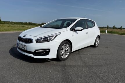 Kia ceed / Ceed Gebrauchtwagen