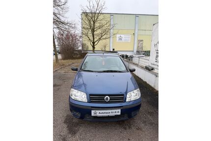 Fiat Punto Gebrauchtwagen